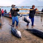 Targetkan Asuransi untuk 16 ribu Nelayan