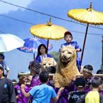 Lestarikan Seni Budaya Melalui Khitanan