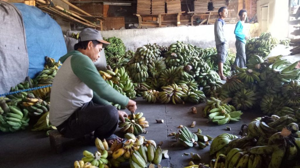 Aep Kantongi Rp 5 Juta Per Hari