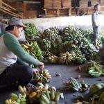 Aep Kantongi Rp 5 Juta Per Hari