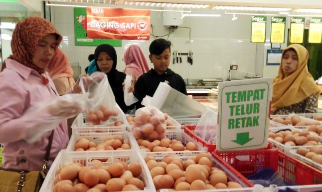 Pakan Ayam Jadi Sebab Kenaikan Telur