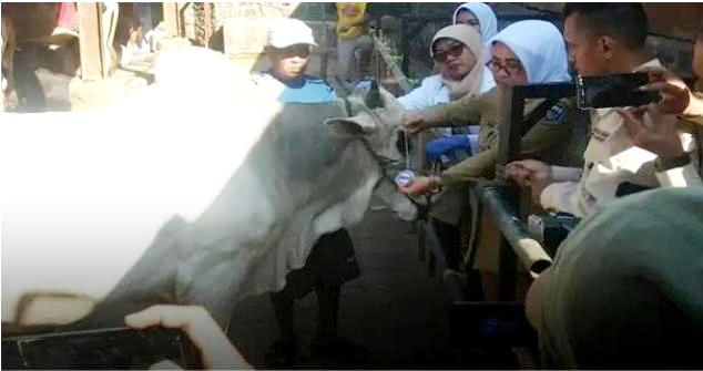 Antisipasi Wabah Anthrax pada Hewan Kurban