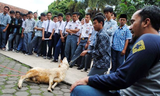 Dispangtan Sebarkan 35 Ribu Kalung