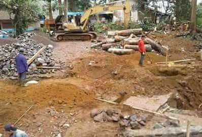 Selidiki Penebangan Pohon di Gede Pangrango