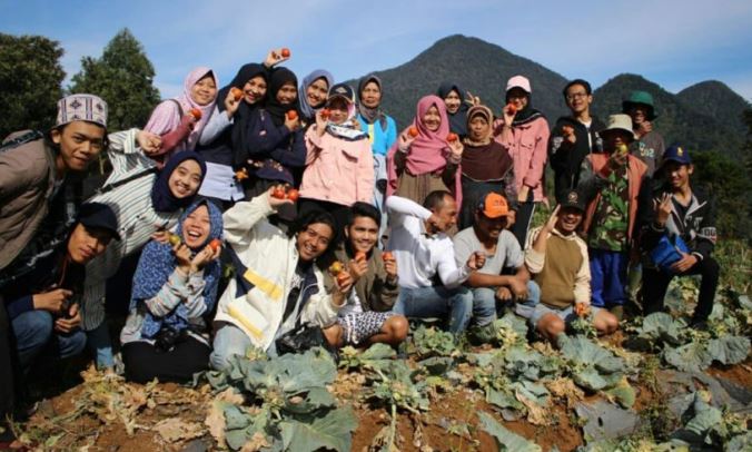 Ciptakan Produk Olahan Dari Tomat Busuk Ciptakan Produk Turunan Dari Tomat Busuk