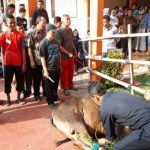 Latih Rasa Empati dengan Berkurban