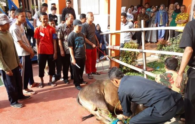 Latih Rasa Empati dengan Berkurban