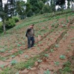 KPK Diminta Usut Program RLH