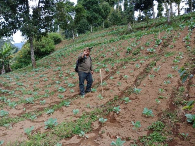 KPK Diminta Usut Program RLH