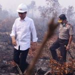 okowi-kabut-asap-riau