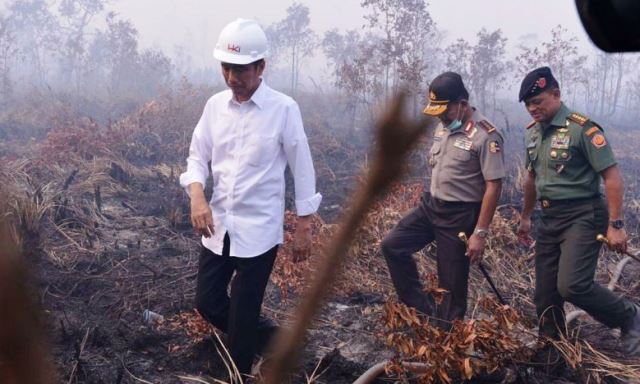 okowi-kabut-asap-riau