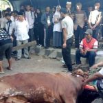 Ajak Para Siswa untuk Ikut Andil Dalam Berkurban