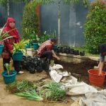 Seleksi Sekolah untuk Lomba Adiwiyata