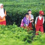 TUMBUHKAN JIWA KOMPETITIF SEJAK DINI (7) -