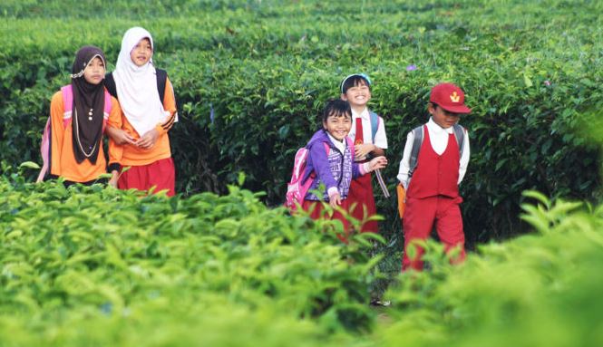 TUMBUHKAN JIWA KOMPETITIF SEJAK DINI (7) -