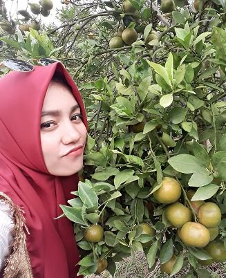 di Kebun Jeruk Jersey