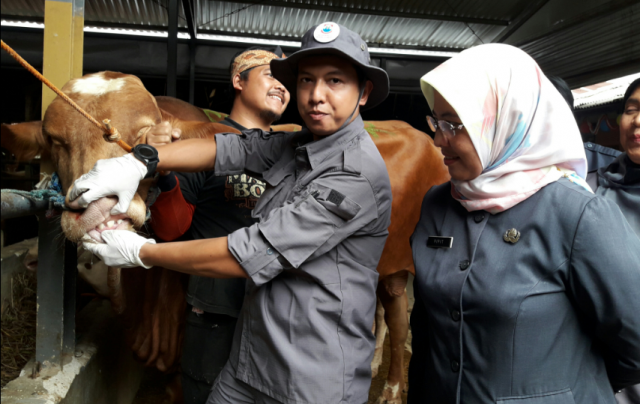 Cegah Hewan Berpenyakit dengan Pemeriksaan