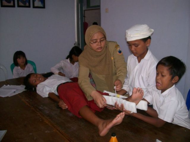 PPNI Dorong Satu Perawat Satu Desa