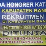 Honorer K2 Tolak Penerimaan CPNS