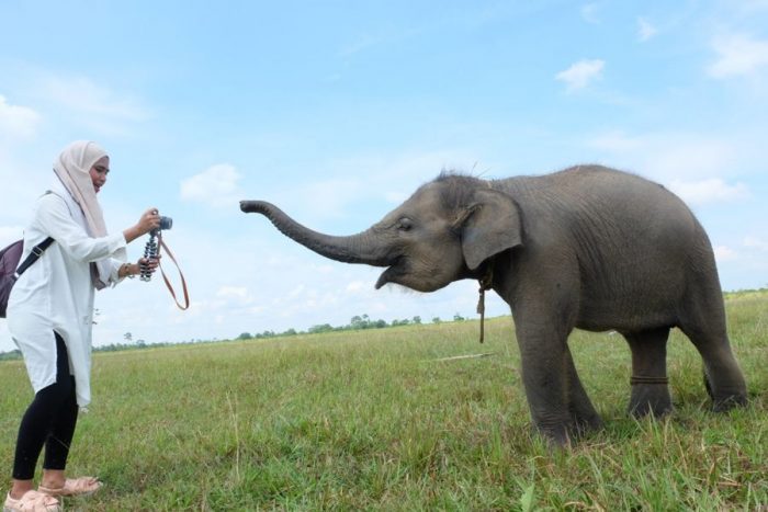 Jabar-Lampung Jajaki Kerjasama