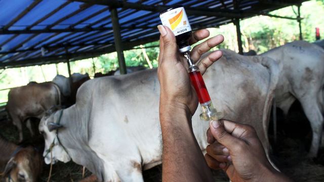 Terapkan Sistem Online untuk Kesehatan Hewan