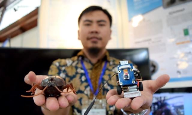 Kembangkan Robot Kecoa
