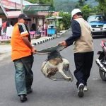 40 Orang Pernah Digigit Anjing