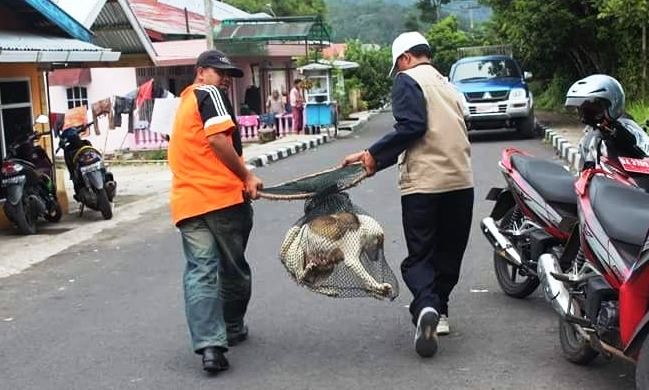 40 Orang Pernah Digigit Anjing 40 Orang Pernah Digigit Anjing