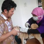 Cegah Rabies, 200 Hewan Divaksinasi