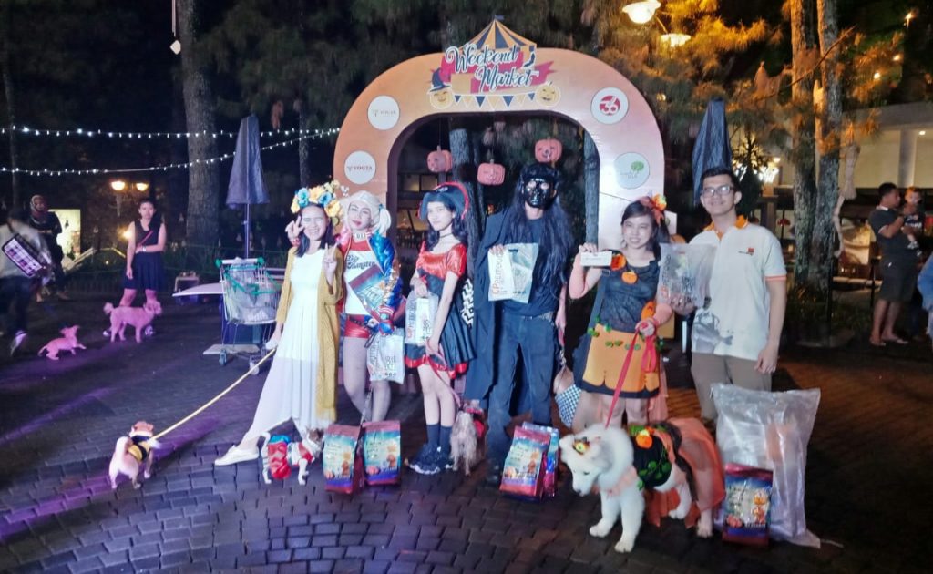 Meriahkan Halloween, Lomba Kostum dan Unjuk Ketangkasan Anjing