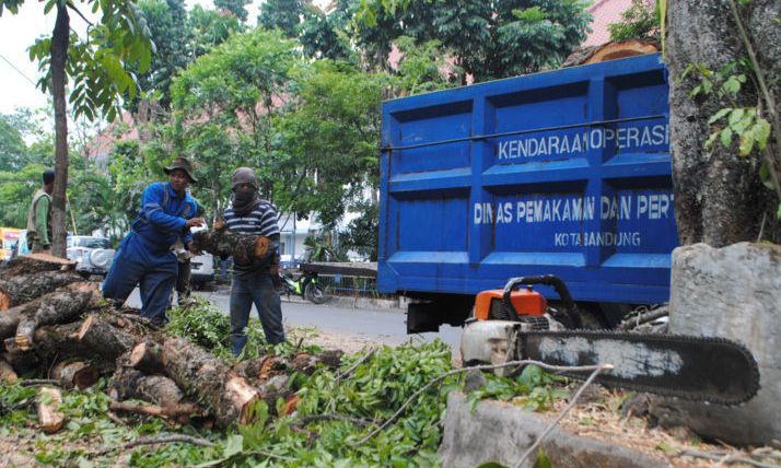 Matahari Lebih Panas dari Biasanya