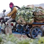 12 Poktan Dapat Rp 150 Juta