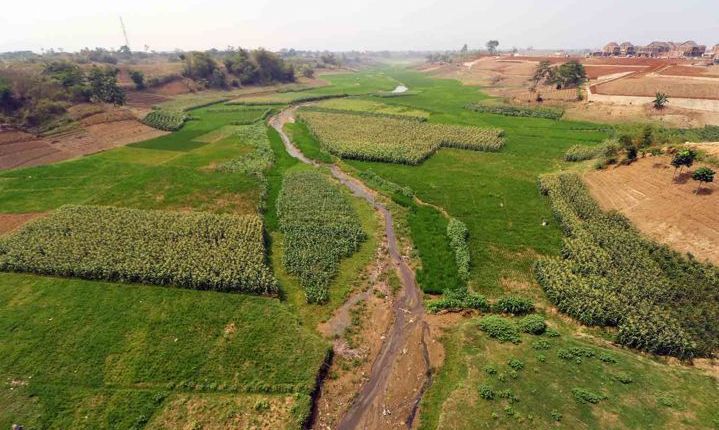 Manfaatkan Bibir Situ Cipanunjang untuk Bercocok Tanam Situ Cipanunjang