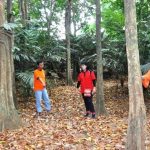 Hutan Kota Cukup Memprihatinkan