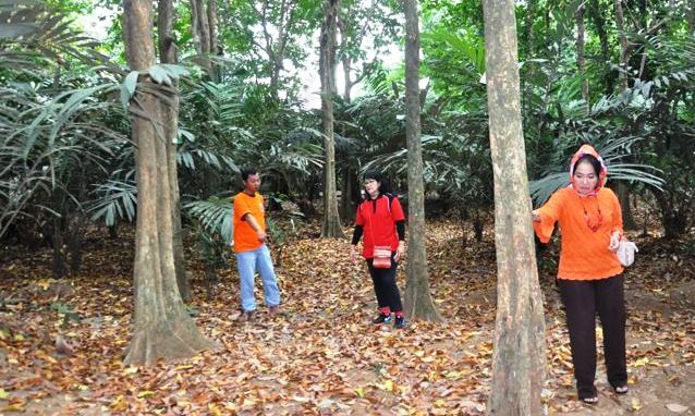 Hutan Kota Cukup Memprihatinkan Hutan Kota Cukup Memprihatinkan