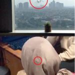 Gunakan Senjata Jenis Kaliber 9 Mm