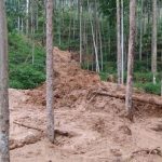 Longsor di Gunung Butut