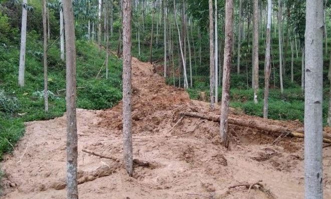 Longsor di Gunung Butut