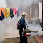 Waspadai DBD di Musim Hujan