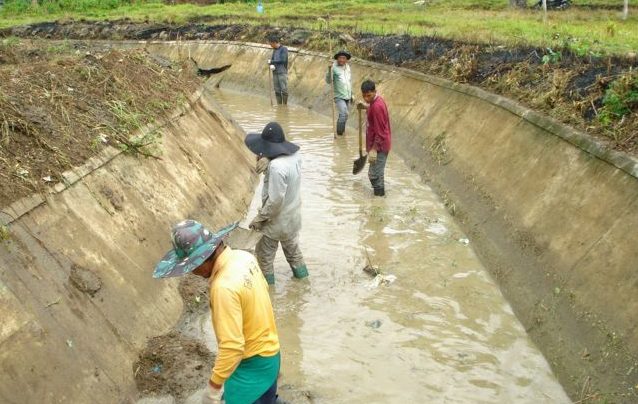 PUPR Diminta Benahi Sejumlah Irigasi