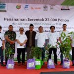 Peringati HMPI, PLN Tanam 22.000 Pohon