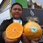 Jeruk Tanpa Biji dari SMK PPN Lembang
