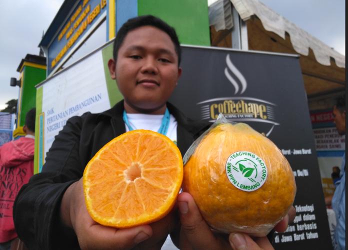 Jeruk Tanpa Biji dari SMK PPN Lembang Jeruk Tanpa Biji dari SMK PPN Lembang