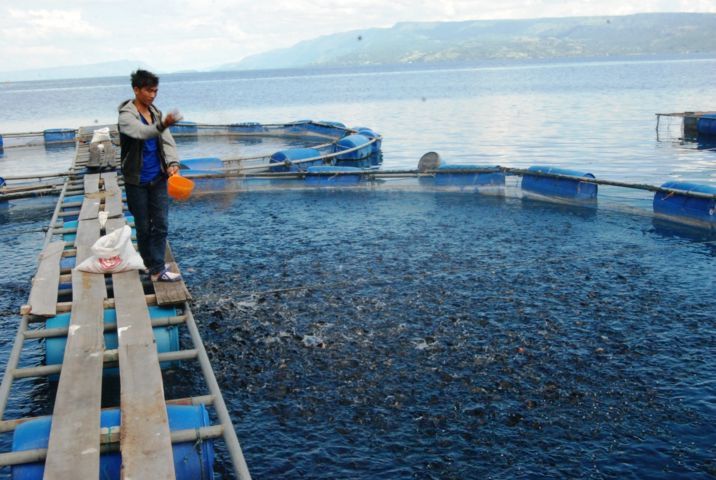 Produksi Ikan Terancam Menurun