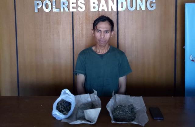 Tukang Ojeg Edarkan Ganja