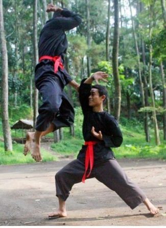 Kampung Pencak Silat Ingin Segera Terwujud Kampung Pencak Silat Ingin Segera Terwujud