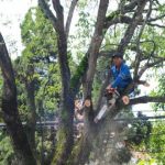 Tiga Dinas Waspadai Bencana