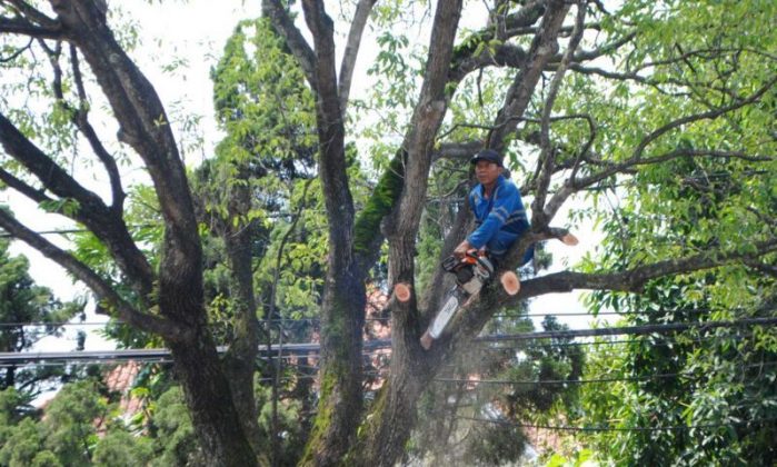 Tiga Dinas Waspadai Bencana