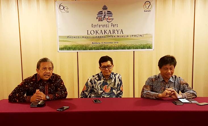 Melalui Lokakarya, BATAN Tingkatkan Kerja Sama dengan Mitranya