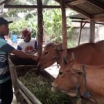 Terapkan Sistem Online untuk Kesehatan Hewan